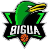 El Bigua W