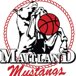 Maitland M.