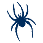 Richmond Spiders W