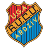 Ardziv