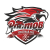 HC Rostov