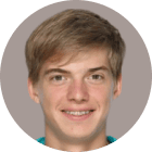 Nesterov P