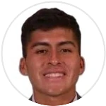 Luis José Nakamine